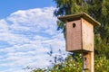 Wooden starling bird house,