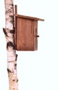 Wooden starling-house on a birch trunk isolated