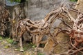Wooden statue of a horse. Art and work of Balinese artists. Wood
