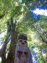 Wooden statue, in the middle of the Huilo Huilo Biological Reserve, regressing animals and Mapuche mystical characters from Royalty Free Stock Photo