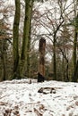 Wooden statue of the pagan god on the snowy hill