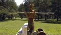 Wooden statue in Zlatibor & x28;Serbia& x29;