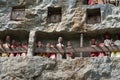 Wooden Statues Of Tau Tau. Lemo is cliffs old burial site in Tana Toraja. South Sulawesi, Indonesia Royalty Free Stock Photo