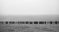 Wooden staves protecting the Beach at Porlock Wier, Somerset Royalty Free Stock Photo