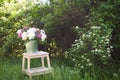 Wooden step stool with bucket with peonies in a spring garden Royalty Free Stock Photo