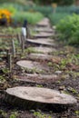 Wooden stepping stones in garden with vegetation around.