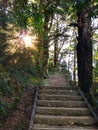 Wooden steps on a forest hiking trek Royalty Free Stock Photo