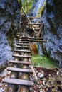 Wooden steps in gorge in mountain