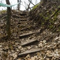 Wooden steps in the ground and railings. Last year`s fallen leaves. Stairs in the forest.