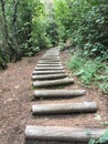 Wooden steps on hiking footpath