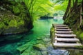 wooden steps leading to a secluded hot spring