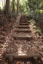 Wooden steps leading to the top of the forest hill Royalty Free Stock Photo