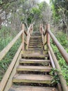 Wooden steps leading up from a beach into the forest Royalty Free Stock Photo