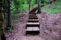 Wooden steps leading up in the forest Royalty Free Stock Photo