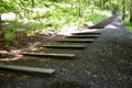 Wooden steps leading up through a forest with sunlight shining through. Royalty Free Stock Photo