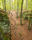 Wooden steps in rocky forest of small switzerland in luxemburg Royalty Free Stock Photo