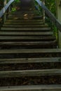 Wooden steps of stairs lead up through the park, vertical travel photo