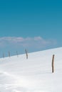 Wooden sticks for dairy farm free range fencing in snow