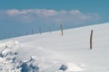 Wooden sticks for dairy farm free range fencing in snow at Zlatibor