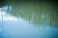 Wooden sticks in the turquoise lake with reflections in the water