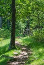 Wooden Stile Crossing a Fence in a Mountain Meadow Royalty Free Stock Photo