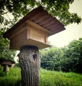 A wooden stingless bee house in closed up Royalty Free Stock Photo