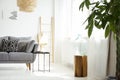 Wooden stool in white living room interior with patterned cushions on grey couch. Real photo Royalty Free Stock Photo