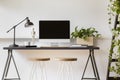 Wooden stools at desk with lamp, desktop computer and plant in white workspace interior. Real photo Royalty Free Stock Photo