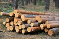 Wooden store logs on meadow