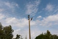 Wooden street lamp post with electric wires against blue sky with white clouds Royalty Free Stock Photo