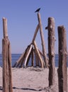 Wooden structure on Willows Beach, Victoria, Canada