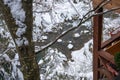 Wooden structure in the winter forest. Icicles on the roof. They ate in the snow. Royalty Free Stock Photo