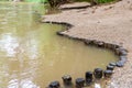 Wooden stubs row on the river bank - embankment border river