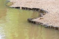 Wooden stubs row on the river bank - embankment border river