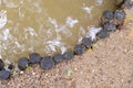 Wooden stubs row on the river bank - embankment border river