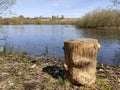 Wooden stump on the background of a blue lake. Spring landscape in sunny weather Royalty Free Stock Photo