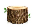 Wooden stump. Cut slice tree. Eps10 vector