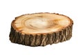 Wooden stump isolated on transparent background.