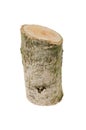 Wooden stump isolated on the white background.