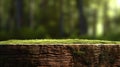 Wooden stump surface with texture on a soft-focus green leafy background, ideal for nature backdrops