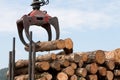 Wooden stumps on a truck