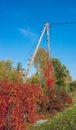 Wooden supports high-voltage power with nesting box on the blue sky background. Electrical industry. Autumn background