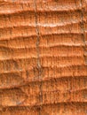 Wooden surface Royalty Free Stock Photo