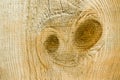 Wooden surface with alien face