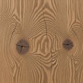 Knots show radial lines and cracks, indicating growth rings and age Royalty Free Stock Photo