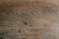 The wooden surface of an old board made of ash wood. The pattern is formed by the annual rings of ring-porous wood.