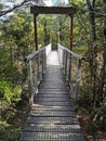Wooden suspended bridge with anti-slide mesh on the forest hiking trek