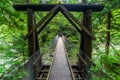 Wooden suspension bridge in the forest. Hiking in the summer forest in Japan