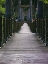 Wooden suspension bridge in forest with no people