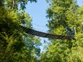 Wooden suspension bridge walkway in Huilo Huilo Biological Reserve, Los RÃÂ­os Region, Chile Royalty Free Stock Photo